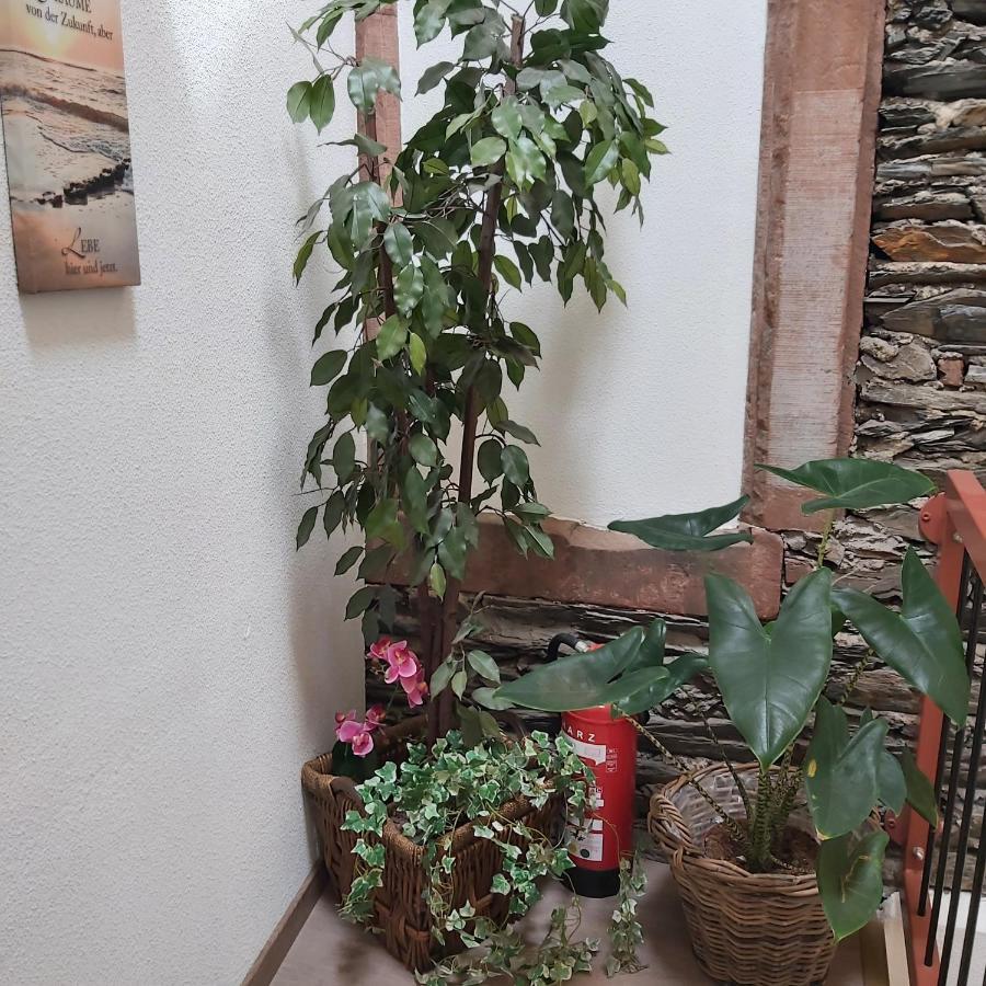 Appartement Kleine Altstadt Oase à Commune fusionnée de Commune fusionnée de Bernkastel-Kues Extérieur photo