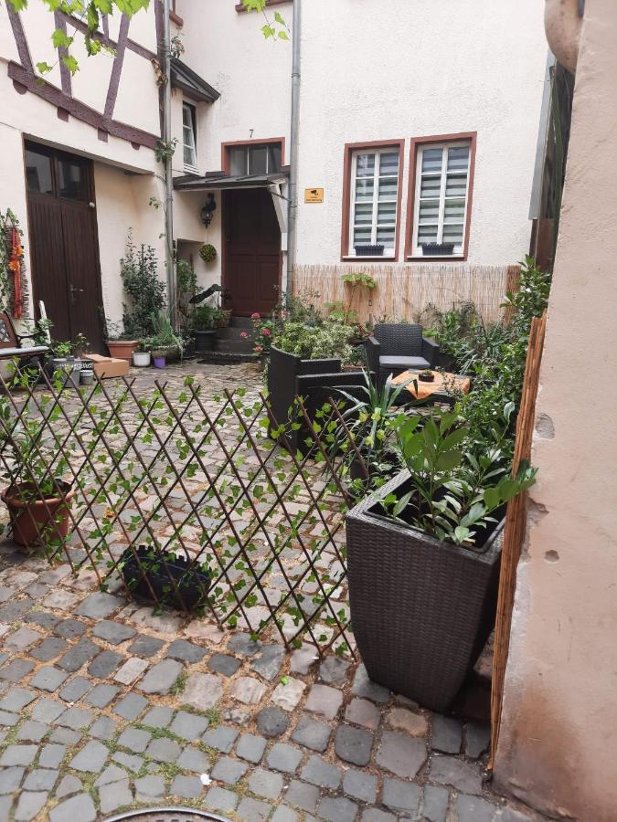 Appartement Kleine Altstadt Oase à Commune fusionnée de Commune fusionnée de Bernkastel-Kues Extérieur photo