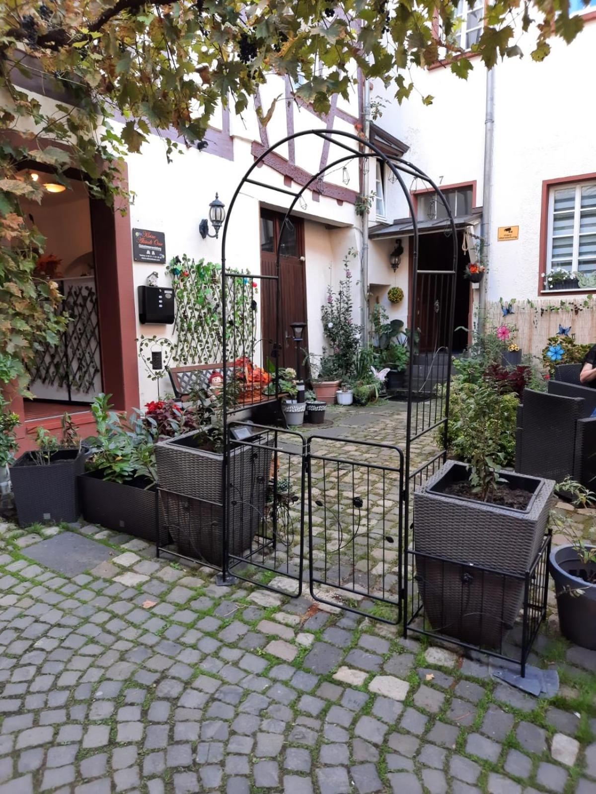 Appartement Kleine Altstadt Oase à Commune fusionnée de Commune fusionnée de Bernkastel-Kues Extérieur photo