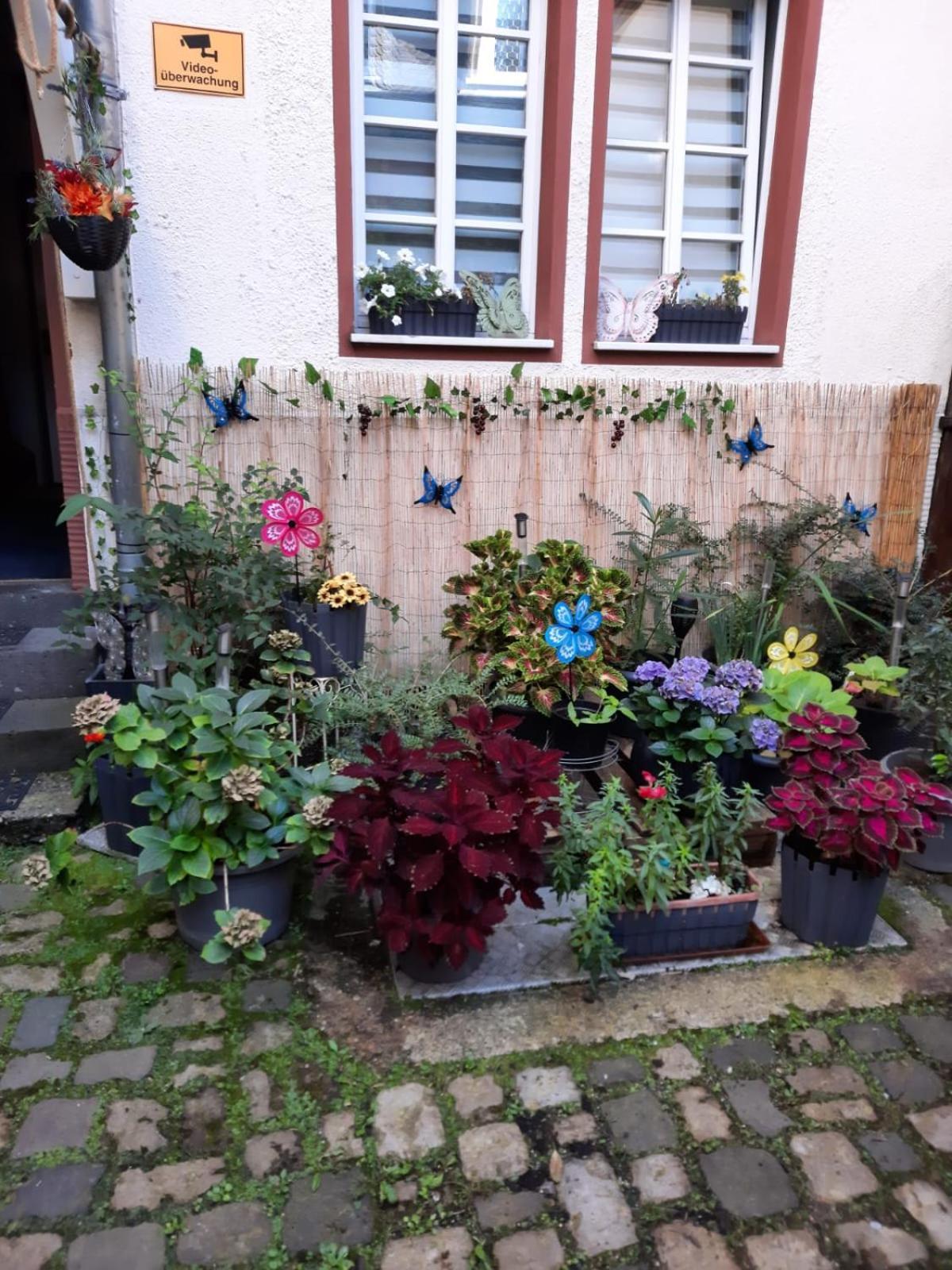 Appartement Kleine Altstadt Oase à Commune fusionnée de Commune fusionnée de Bernkastel-Kues Extérieur photo